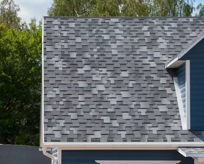 gray shigles roof