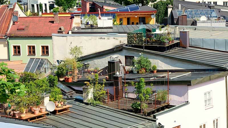 gardens on roofs