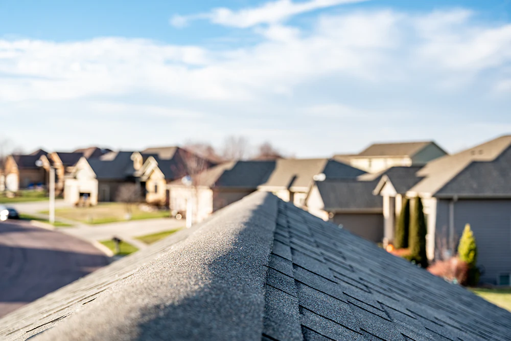 asphalt shingles