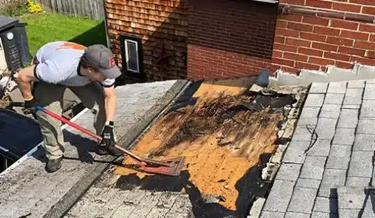 roof repair